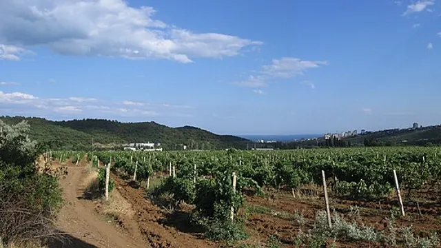 Севастополь — Алушта